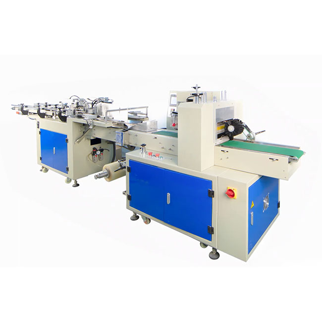 ECI-DB450 Disposable Cup Double Row Packaging Machine