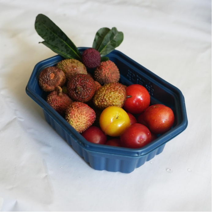 Plastic Thermoforming