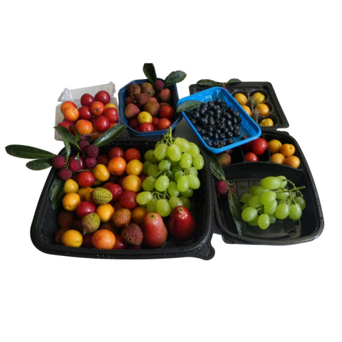 Plastic Thermoforming