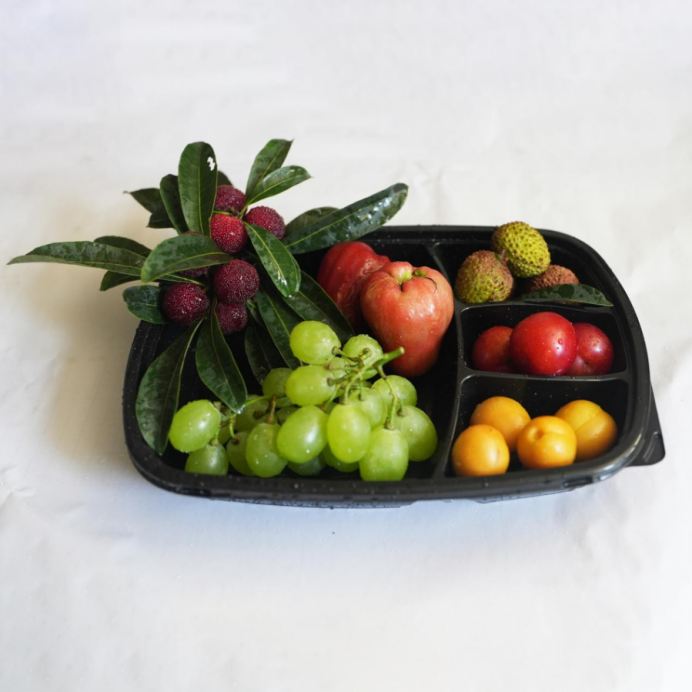 Plastic Thermoforming