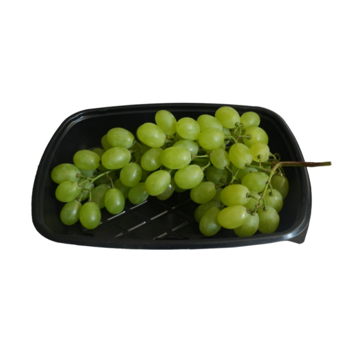 Plastic Thermoforming