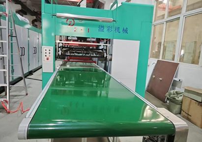 Accumulation Conveyor of Fully Thermoforming Machine
