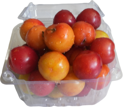 Pressure Thermoforming